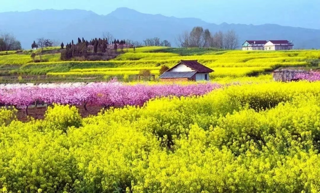 1穿越花海  鞏東明（陜西地礦漢中隊）攝.jpg